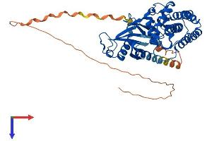 AlphaFold protein structure predicition of Human Recombinant CHKA Protein, UniprotID P35790