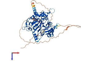 AlphaFold protein structure predicition of Mouse Recombinant Dbr1 Protein, UniprotID Q923B1