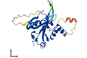 AlphaFold protein structure predicition of Mouse Recombinant Josd1 Protein, UniprotID Q9DBJ6