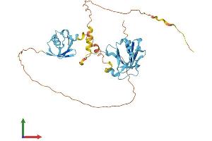 AlphaFold protein structure predicition of Mouse Recombinant Ubfd1 Protein, UniprotID Q78JW9