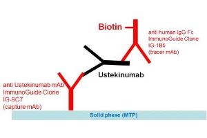 Image no. 1 for Ustekinumab Specific ELISA Kit (ABIN5608475) (Ustekinumab Specific Kit ELISA)
