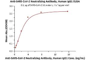 Immobilized SARS-CoV-2 S1 protein, His Tag (ABIN6952623) at 2 μg/mL (100 μL/well) can bind Anti-SARS-CoV-2 Neutralizing Antibody, Human IgG1 (ABIN6952616) with a linear range of 0.
