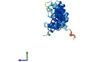 AlphaFold protein structure predicition of Human Recombinant NAPA Protein, UniprotID P54920