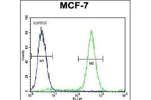 QTRTD1 Antibody (C-term) (ABIN655642 and ABIN2845119) flow cytometric analysis of MCF-7 cells (right histogram) compared to a negative control cell (left histogram). (QTRTD1 anticorps  (C-Term))