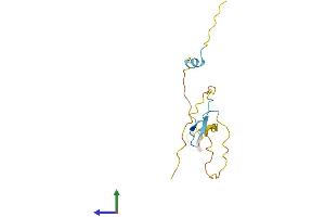 AlphaFold protein structure predicition of Human Recombinant PRR15 Protein, UniprotID Q8IV56