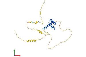 AlphaFold protein structure predicition of Human Recombinant BARX1 Protein, UniprotID Q9HBU1