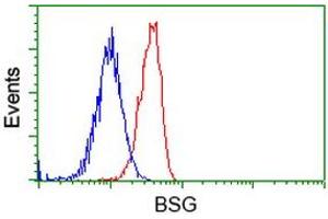 Image no. 3 for anti-Basigin (Ok Blood Group) (BSG) antibody (ABIN1498015) (CD147 anticorps)