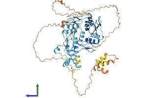 AlphaFold protein structure predicition of Human Recombinant ZFP69B Protein, UniprotID Q9UJL9