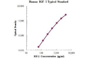 ELISA image for Insulin-Like Growth Factor 1 (IGF1) ELISA Kit (ABIN3198550)