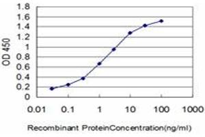 Detection limit for recombinant GST tagged HSPA1B is approximately 0. (HSPA1B anticorps  (AA 531-611))