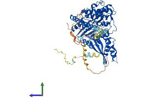 AlphaFold protein structure predicition of Human Recombinant PXK Protein, UniprotID Q7Z7A4