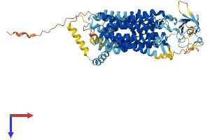 AlphaFold protein structure predicition of Human Recombinant SLCO2A1 Protein, UniprotID Q92959