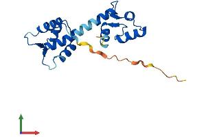 AlphaFold protein structure predicition of Mouse Recombinant Cetn1 Protein, UniprotID P41209