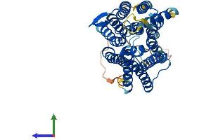 AlphaFold protein structure predicition of Mouse Recombinant Slc52a2 Protein, UniprotID Q9D8F3