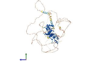 AlphaFold protein structure predicition of Human Recombinant MCPH1 Protein, UniprotID Q8NEM0