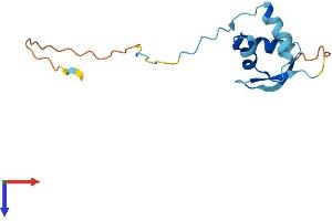 AlphaFold protein structure predicition of Human Recombinant RPS25 Protein, UniprotID P62851