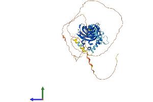 AlphaFold protein structure predicition of Mouse Recombinant Ebf3 Protein, UniprotID O08791
