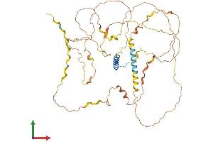 AlphaFold protein structure predicition of Mouse Recombinant Fbrs Protein, UniprotID Q8R089