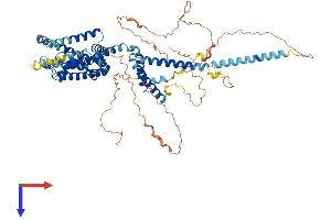AlphaFold protein structure predicition of Mouse Recombinant Kcnq1 Protein, UniprotID P97414
