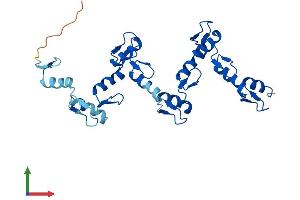 AlphaFold protein structure predicition of Human Recombinant ZNF146 Protein, UniprotID Q15072