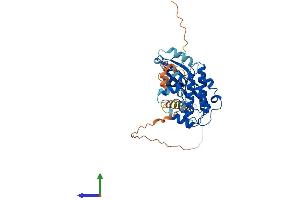 AlphaFold protein structure predicition of Mouse Recombinant Camk1d Protein, UniprotID Q8BW96