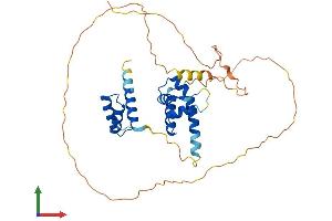 AlphaFold protein structure predicition of Human Recombinant POU4F3 Protein, UniprotID Q15319