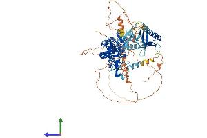 AlphaFold protein structure predicition of Mouse Recombinant Plekhm3 Protein, UniprotID Q8BM47