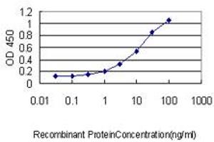 Detection limit for recombinant GST tagged ASB9 is approximately 0. (ASB9 anticorps  (AA 1-252))