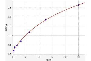 Typical standard curve (CREB1 Kit ELISA)