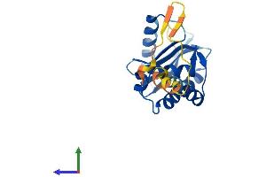 AlphaFold protein structure predicition of Mouse Recombinant Ap3s2 Protein, UniprotID Q8BSZ2