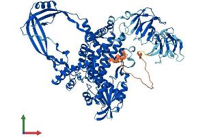 AlphaFold protein structure predicition of Mouse Recombinant Top3b Protein, UniprotID Q9Z321