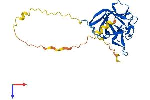 AlphaFold protein structure predicition of Human Recombinant FGF11 Protein, UniprotID Q92914