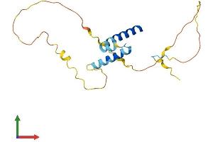 AlphaFold protein structure predicition of Human Recombinant HES3 Protein, UniprotID Q5TGS1