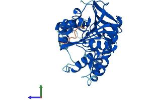 AlphaFold protein structure predicition of Mouse Recombinant Serhl Protein, UniprotID Q9EPB5