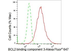 anti-BCL2 Binding Component 3 (BBC3) antibody