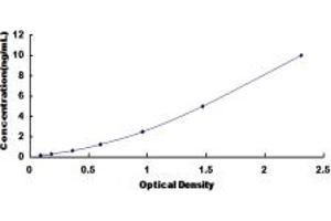Typical standard curve