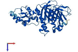 AlphaFold protein structure predicition of Human Recombinant ADAP1 Protein, UniprotID O75689