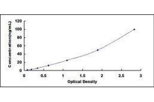 Heat Shock 70kDa Protein 1A (HSPA1A) ELISA Kit