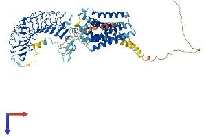 AlphaFold protein structure predicition of Mouse Recombinant Rxfp2 Protein, UniprotID Q91ZZ5