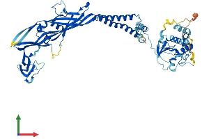 AlphaFold protein structure predicition of Human Recombinant P2RX7 Protein, UniprotID Q99572