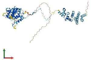 AlphaFold protein structure predicition of Human Recombinant CNOT11 Protein, UniprotID Q9UKZ1