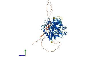 AlphaFold protein structure predicition of Human Recombinant ADAD1 Protein, UniprotID Q96M93