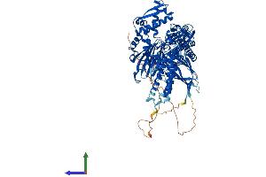 AlphaFold protein structure predicition of Human Recombinant HSPA4L Protein, UniprotID O95757