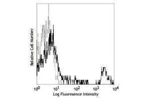 Flow Cytometry (FACS) image for anti-Membrane-Spanning 4-Domains, Subfamily A, Member 1 (MS4A1) antibody (PE-Cy7) (ABIN2659460) (CD20 anticorps  (PE-Cy7))