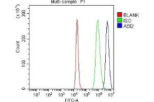 Flow Cytometry analysis of SH-SY5Y cells using anti-ABI2 antibody (ABIN7600125).