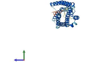 AlphaFold protein structure predicition of Mouse Recombinant Gpr35 Protein, UniprotID Q9ES90