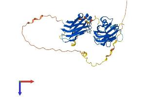 AlphaFold protein structure predicition of Mouse Recombinant Doc2g Protein, UniprotID Q9ESN1