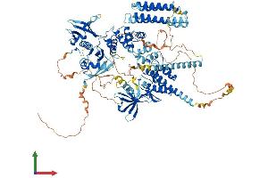 AlphaFold protein structure predicition of Human Recombinant PTK2B Protein, UniprotID Q14289