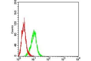 Flow cytometric analysis of A431 cells using KRT13 mouse mAb (green) and negative control (red). (Cytokeratin 13 anticorps  (AA 104-458))