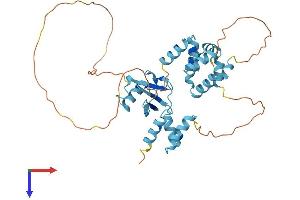 AlphaFold protein structure predicition of Human Recombinant RAD23A Protein, UniprotID P54725
